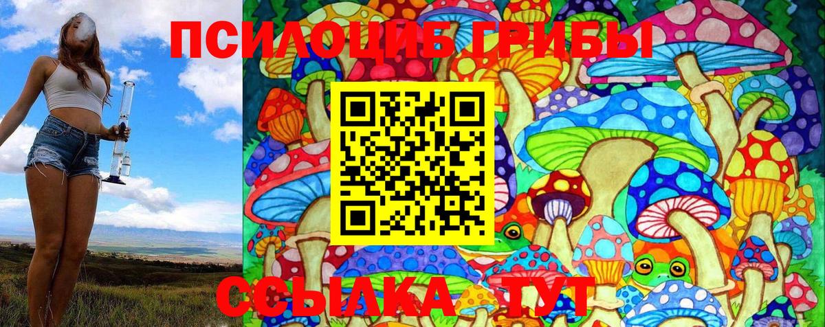 Ханты-Мансийск  Псилоцибиновые грибы Cubensis  купить наркотик  Вход с VPN 